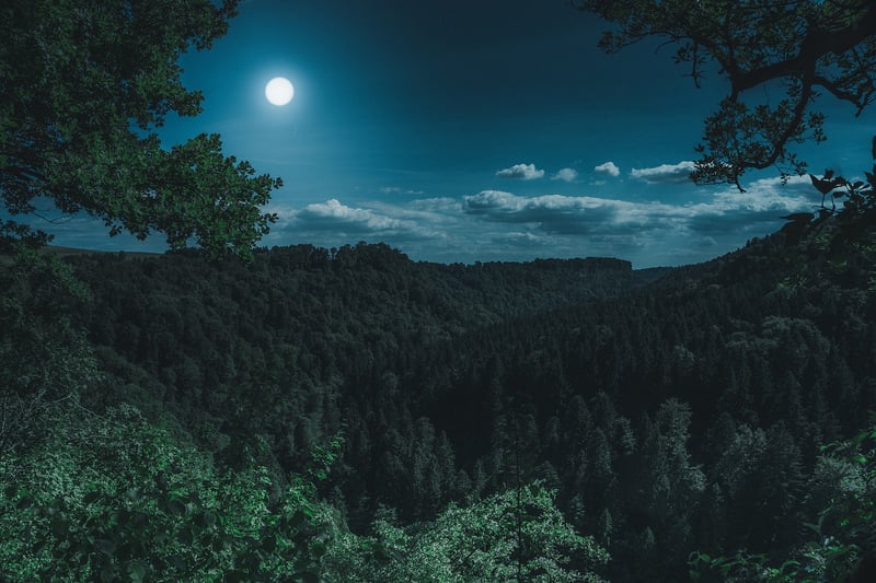 Moonlit Wedding